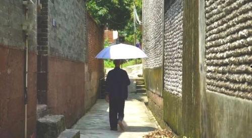 校园店的吃瓜群众,揭秘校园店的热议焦点