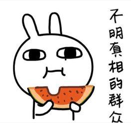 吃瓜搞笑群名称,揭秘吃瓜搞笑群背后的欢乐盛宴