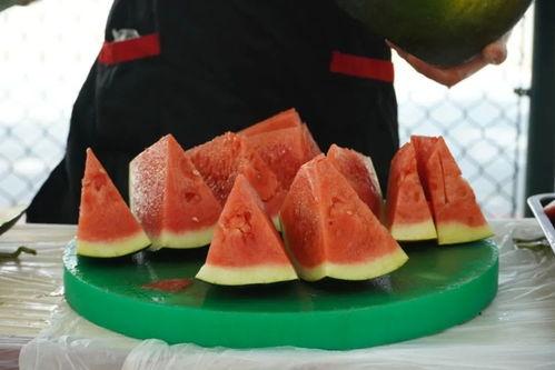 南京职业学院吃瓜,吃瓜群众眼中的校园美食盛宴