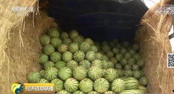 吃手机行业大瓜,内幕曝光，行业乱象一览无余