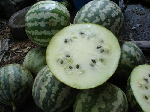 吃绿宝瓜能发胖吗,美味解暑,增肥风险几何?