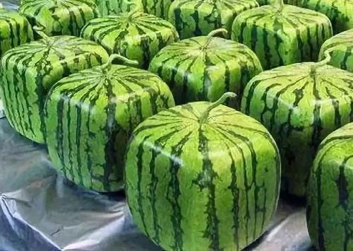 水吃瓜,夏日消暑美食之旅