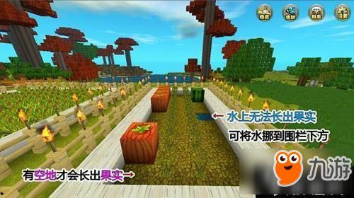 迷你世界拍吃瓜老头,揭秘拍吃瓜老头的神秘魅力