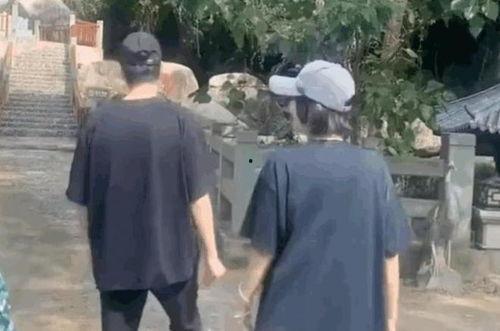 海南吃瓜旅游事件,揭秘背后的真相与反思